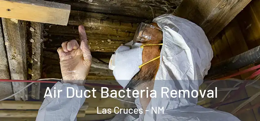 Air Duct Bacteria Removal Las Cruces - NM