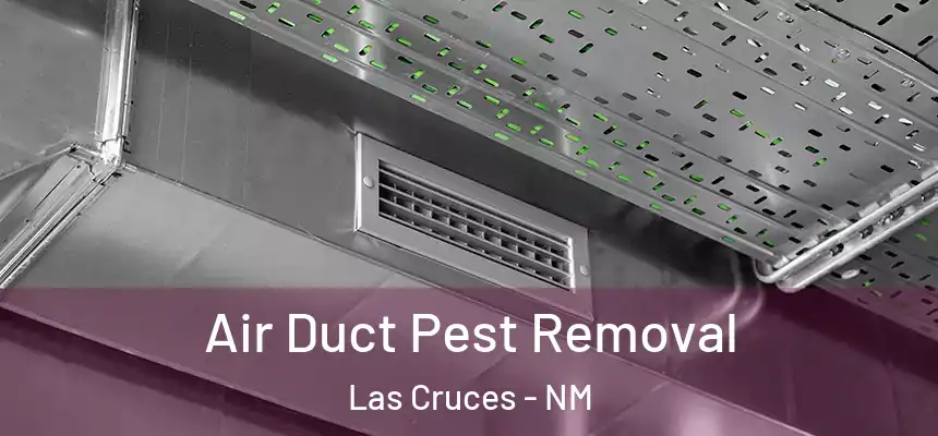  Air Duct Pest Removal Las Cruces - NM