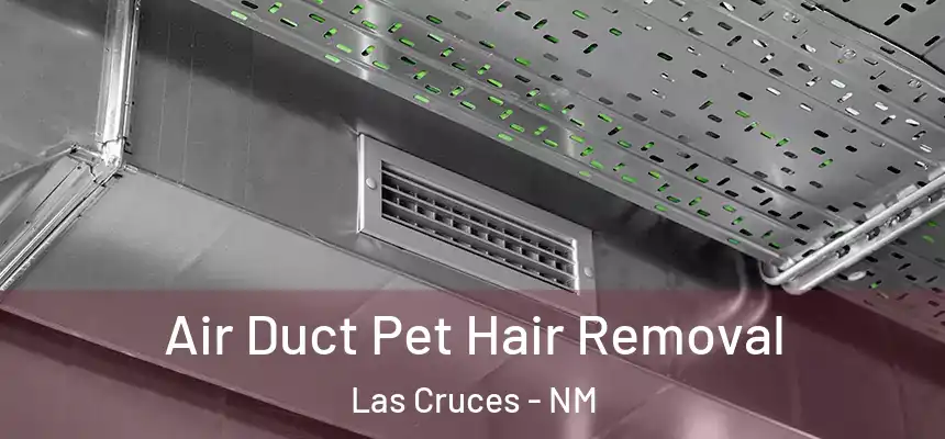 Air Duct Pet Hair Removal Las Cruces - NM