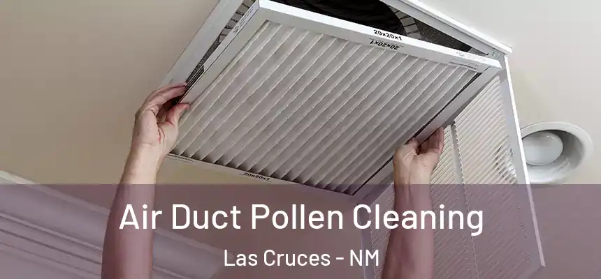  Air Duct Pollen Cleaning Las Cruces - NM