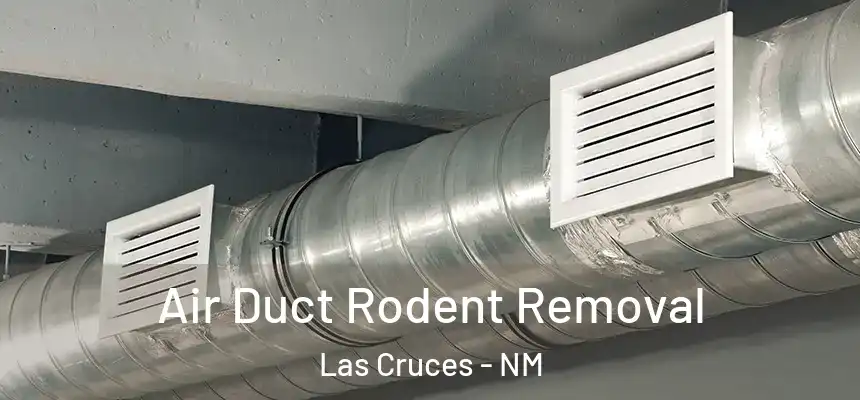  Air Duct Rodent Removal Las Cruces - NM