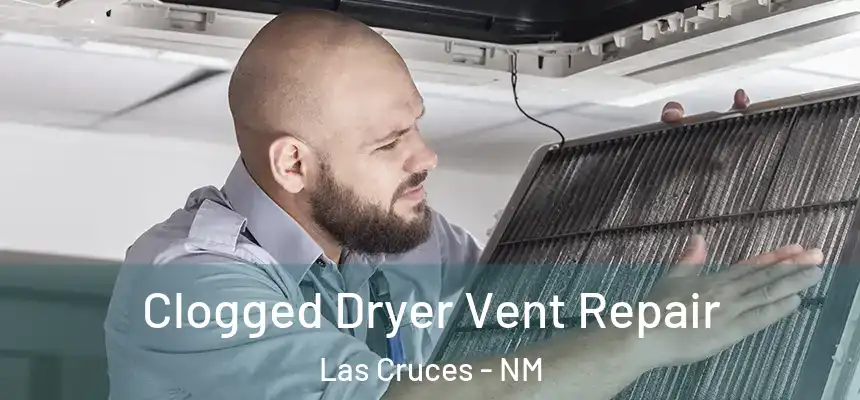  Clogged Dryer Vent Repair Las Cruces - NM