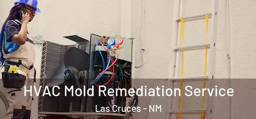  HVAC Mold Remediation Service Las Cruces - NM