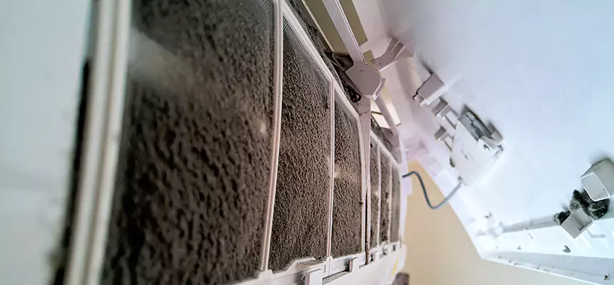 Preventive Air Duct Bacteria Removal in Las Cruces