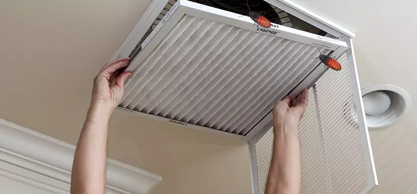 Preventive Cockroach-Proofing for Ducts in Las Cruces