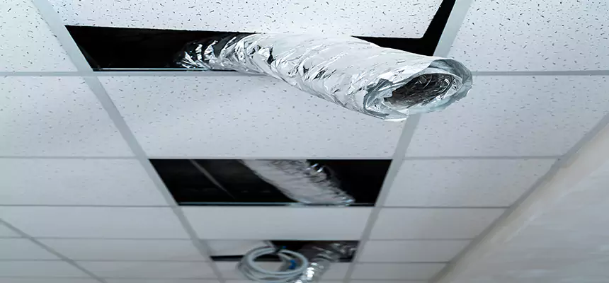 Affordable HVAC Sanitizing After Pest Removal in Las Cruces