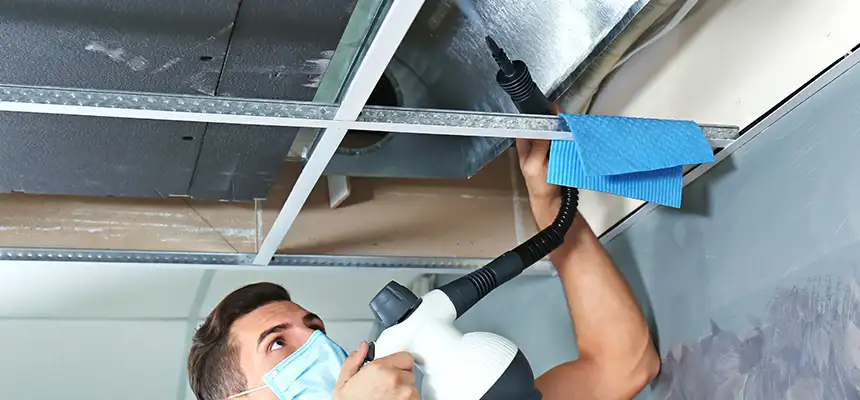 Our Air Duct Rodent Removal Services in Las Cruces, NM