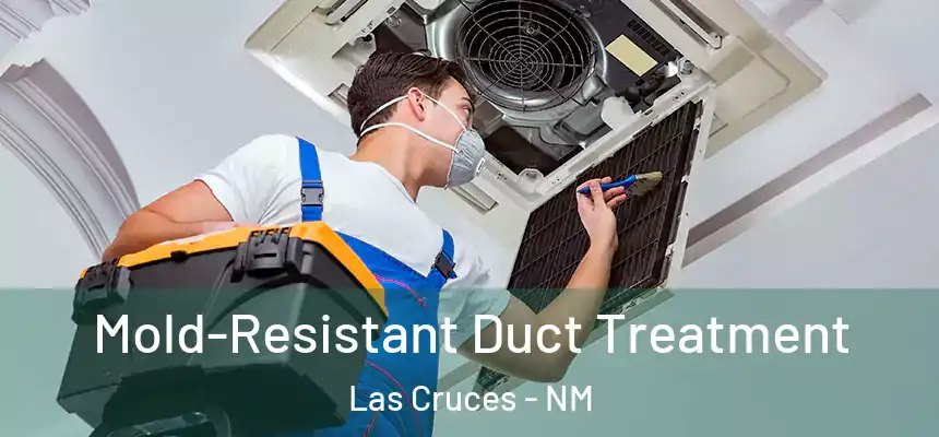  Mold-Resistant Duct Treatment Las Cruces - NM