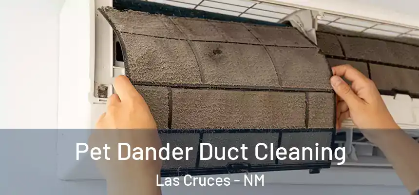  Pet Dander Duct Cleaning Las Cruces - NM