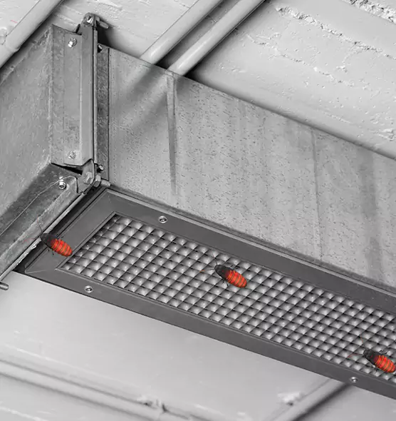 About Air Duct Cockroach Removal in Las Cruces, NM