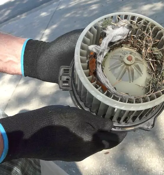 About Air Duct Mice Removal in Las Cruces, NM