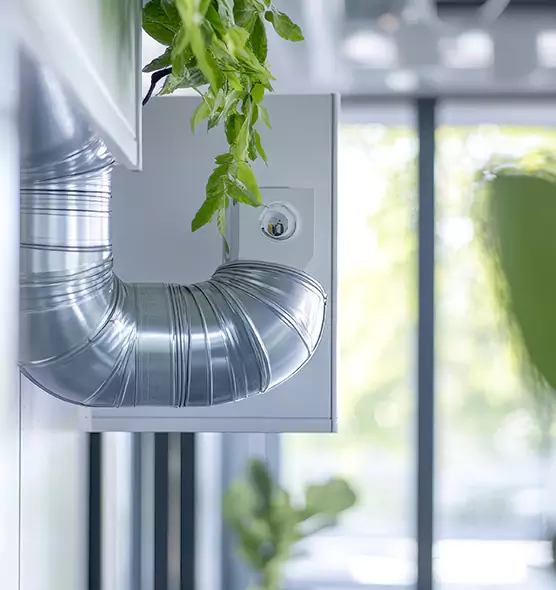 Professional Eco-Safe Dryer Vent Cleaning in Las Cruces, NM