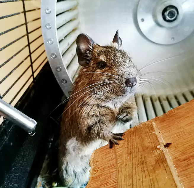 Why Homeowners & Businesses Trust Us Las Cruces, NM